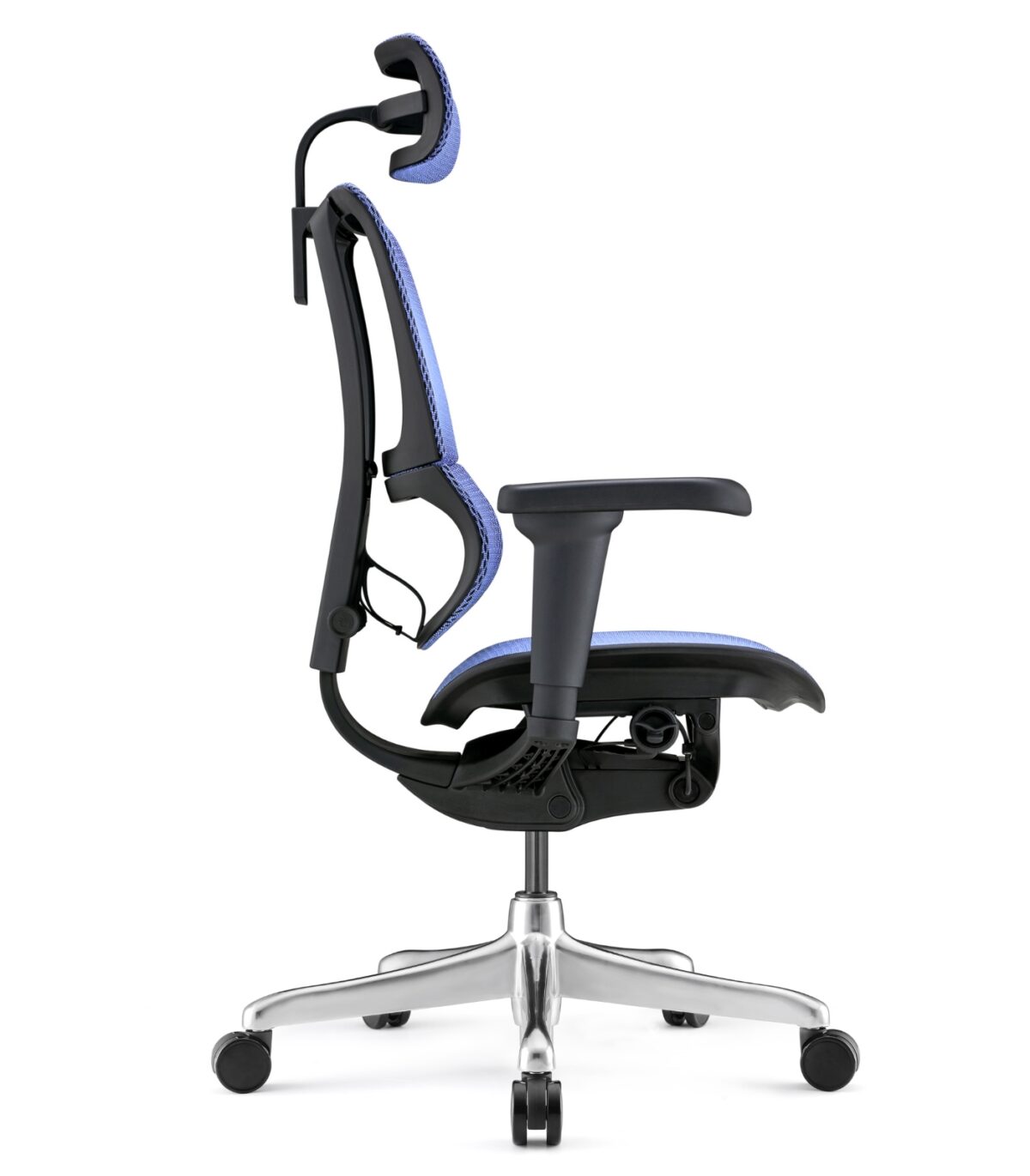 Εργονομική καρέκλα γραφείου Ergohuman iOO Ultra ST - μπλε - Image 3