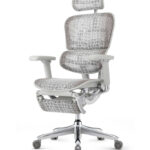 Εργονομική καρέκλα γραφείου Ergohuman Special Edition Himalaya