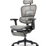 Εργονομική καρέκλα γραφείου Ergohuman Special Edition Night