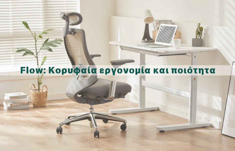 karekla grafeiou Flow a1