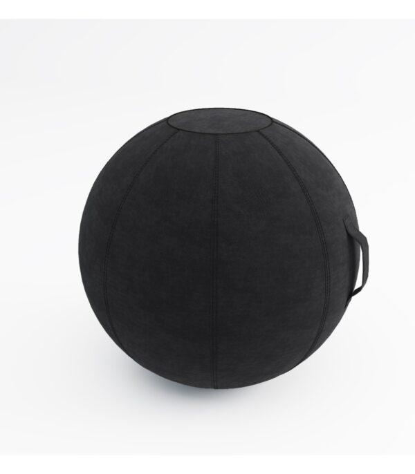 Ergo Ball