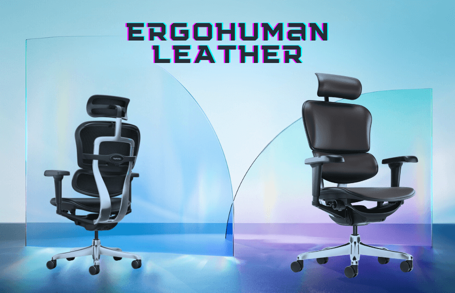 karekla grafeiou ergohuman leather a1