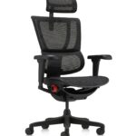 Εργονομική καρέκλα γραφείου Ergohuman Gaming - Black Badge