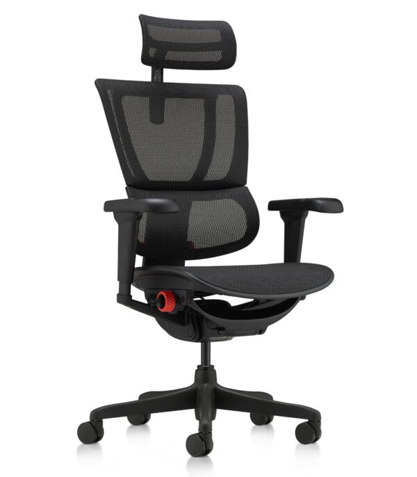 Εργονομική καρέκλα γραφείου Ergohuman Gaming - Black Badge