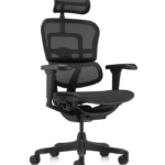 Εργονομική καρέκλα γραφείου Ergohuman Eagle total black