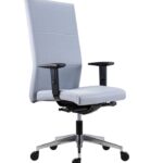 XXL Εργονομική καρέκλα γραφείου Vertika 24/7 200 kg