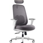 Εργονομική καρέκλα γραφείου Spark white