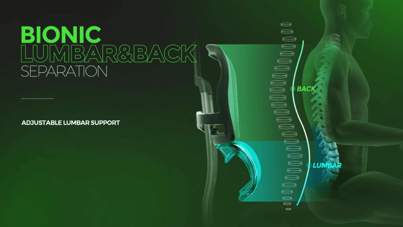 Ergohuman Elite v2 Banner 1