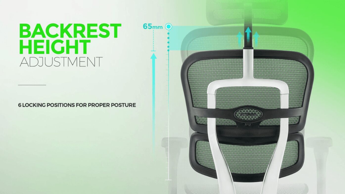 Ergohuman Elite v2 Banner 5