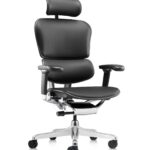 Εργονομική καρέκλα γραφείου Ergohuman 2 Elite Plus Leather - μαύρη
