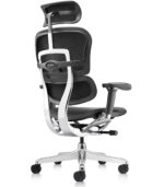 Εργονομική καρέκλα γραφείου Ergohuman 2 Elite Plus Leather - Image 4