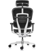 Εργονομική καρέκλα γραφείου Ergohuman 2 Elite Plus Leather - Image 5