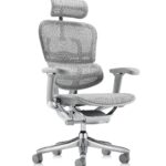 Εργονομική καρέκλα γραφείου Ergohuman 2 SE (special edition) – γκρι