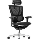 Εργονομική καρέκλα γραφείου Ergohuman iOO Ultra Plus - μαύρη