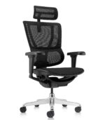Εργονομική καρέκλα γραφείου Ergohuman iOO Ultra Plus - μαύρη