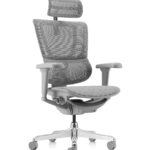 Εργονομική καρέκλα γραφείου Ergohuman iOO Ultra Plus - γκρι